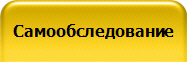 Самообследование